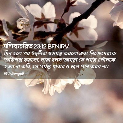 Picture 02 - पশিষ্যচরিত 23:12 BENIRV - দিন হলে পর ইহুদীরা - Bible Verse Picture