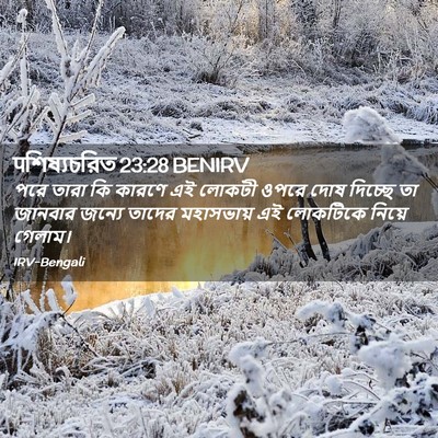 Picture 02 - पশিষ্যচরিত 23:28 BENIRV - পরে তারা কি কারণে - Bible Verse Picture