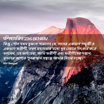 Picture 02 - पশিষ্যচরিত 23:6 BENIRV - কিন্তু পৌল যখন - Bible Verse Picture