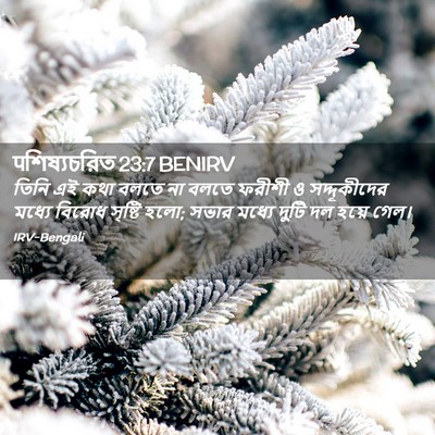Picture 02 - पশিষ্যচরিত 23:7 BENIRV - তিনি এই কথা বলতে না - Bible Verse Picture