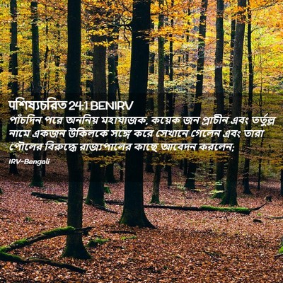 Picture 02 - पশিষ্যচরিত 24:1 BENIRV - পাঁচদিন পরে - Bible Verse Picture