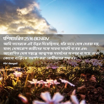 Picture 02 - पশিষ্যচরিত 25:16 BENIRV - আমি তাদেরকে এই - Bible Verse Picture