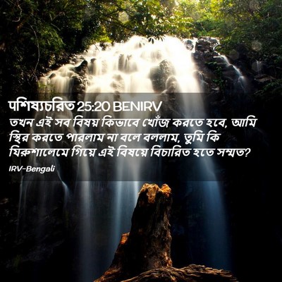 Picture 02 - पশিষ্যচরিত 25:20 BENIRV - তখন এই সব বিষয় - Bible Verse Picture