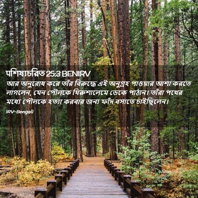 Picture 02 - पশিষ্যচরিত 25:3 BENIRV - আর অনুরোধ করে তাঁর - Bible Verse Picture