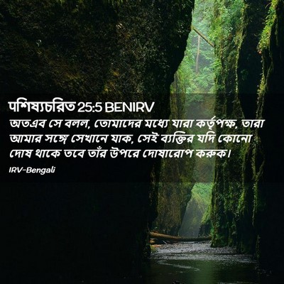 Picture 02 - पশিষ্যচরিত 25:5 BENIRV - অতএব সে বলল, - Bible Verse Picture