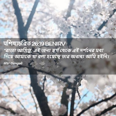Picture 02 - पশিষ্যচরিত 26:19 BENIRV - “রাজা আগ্রিপ্প, এই - Bible Verse Picture