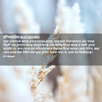 Picture 02 - पশিষ্যচরিত 26:20 BENIRV - যারা দম্মেশকে আছে - Bible Verse Picture