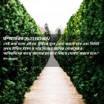 Picture 02 - पশিষ্যচরিত 26:23 BENIRV - সেই কথা হলো এই যে, - Bible Verse Picture