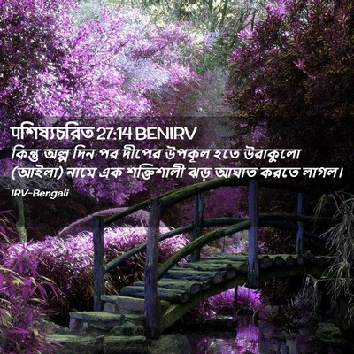 Picture 02 - पশিষ্যচরিত 27:14 BENIRV - কিন্তু অল্প দিন পর - Bible Verse Picture