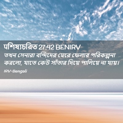 Picture 02 - पশিষ্যচরিত 27:42 BENIRV - তখন সেনারা - Bible Verse Picture