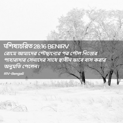 Picture 02 - पশিষ্যচরিত 28:16 BENIRV - রোমে আমাদের - Bible Verse Picture