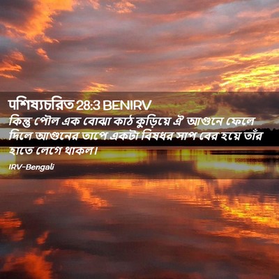Picture 02 - पশিষ্যচরিত 28:3 BENIRV - কিন্তু পৌল এক বোঝা - Bible Verse Picture