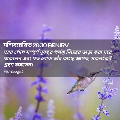Picture 02 - पশিষ্যচরিত 28:30 BENIRV - আর পৌল সম্পূর্ণ - Bible Verse Picture