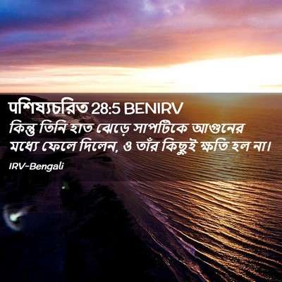 Picture 02 - पশিষ্যচরিত 28:5 BENIRV - কিন্তু তিনি হাত - Bible Verse Picture