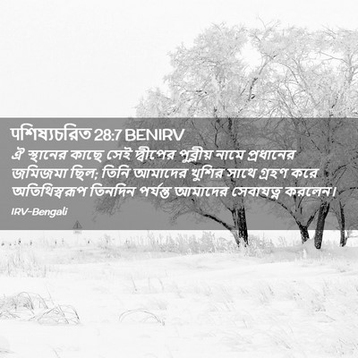 Picture 02 - पশিষ্যচরিত 28:7 BENIRV - ঐ স্থানের কাছে সেই - Bible Verse Picture