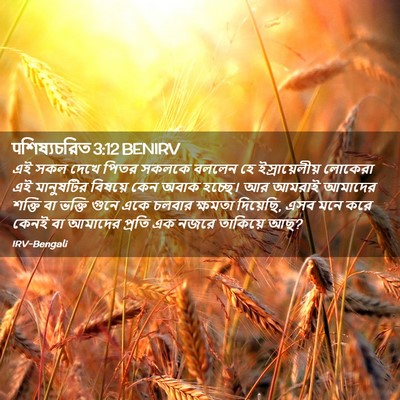 Picture 02 - पশিষ্যচরিত 3:12 BENIRV - এই সকল দেখে পিতর - Bible Verse Picture