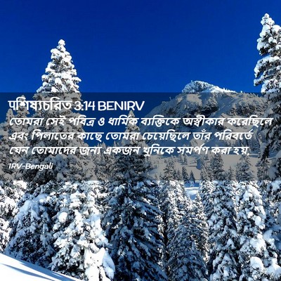 Picture 02 - पশিষ্যচরিত 3:14 BENIRV - তোমরা সেই পবিত্র ও - Bible Verse Picture