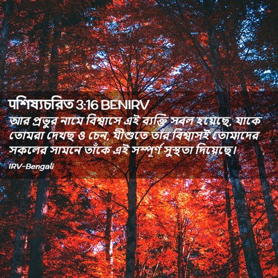 Picture 02 - पশিষ্যচরিত 3:16 BENIRV - আর প্রভুর নামে - Bible Verse Picture