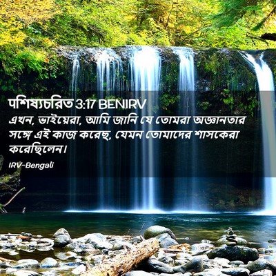 Picture 02 - पশিষ্যচরিত 3:17 BENIRV - এখন, ভাইয়েরা, আমি - Bible Verse Picture