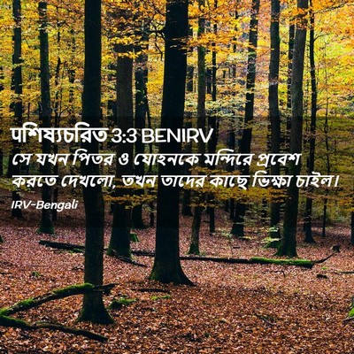 Picture 02 - पশিষ্যচরিত 3:3 BENIRV - সে যখন পিতর ও - Bible Verse Picture