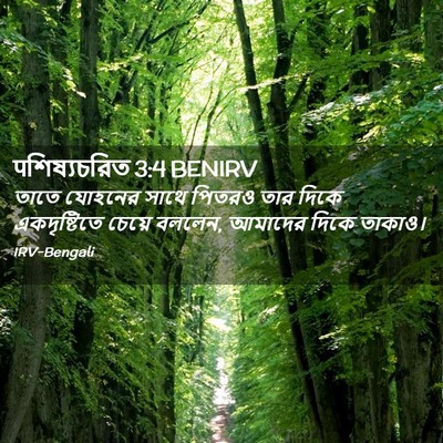 Picture 02 - पশিষ্যচরিত 3:4 BENIRV - তাতে যোহনের সাথে - Bible Verse Picture