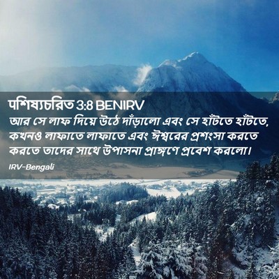 Picture 02 - पশিষ্যচরিত 3:8 BENIRV - আর সে লাফ দিয়ে উঠে - Bible Verse Picture