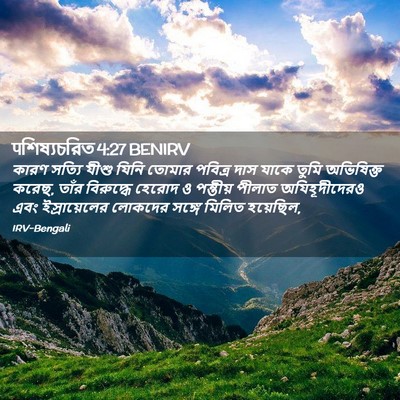 Picture 02 - पশিষ্যচরিত 4:27 BENIRV - কারণ সত্যি যীশু - Bible Verse Picture