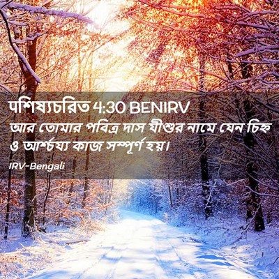 Picture 02 - पশিষ্যচরিত 4:30 BENIRV - আর তোমার পবিত্র - Bible Verse Picture