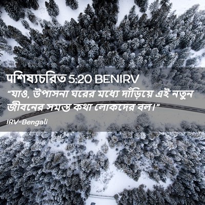 Picture 02 - पশিষ্যচরিত 5:20 BENIRV - “যাও, উপাসনা ঘরের - Bible Verse Picture
