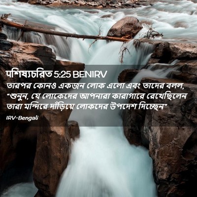 Picture 02 - पশিষ্যচরিত 5:25 BENIRV - তারপর কোনও একজন - Bible Verse Picture