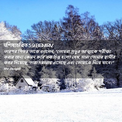 Picture 02 - पশিষ্যচরিত 5:9 BENIRV - তারপর পিতর তাকে - Bible Verse Picture