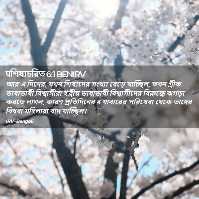 Picture 02 - पশিষ্যচরিত 6:1 BENIRV - আর এ দিনের, যখন - Bible Verse Picture