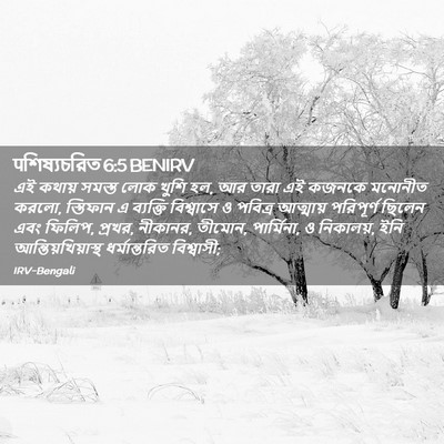 Picture 02 - पশিষ্যচরিত 6:5 BENIRV - এই কথায় সমস্ত লোক - Bible Verse Picture