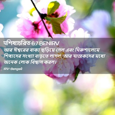 Picture 02 - पশিষ্যচরিত 6:7 BENIRV - আর ঈশ্বরের বাক্য - Bible Verse Picture