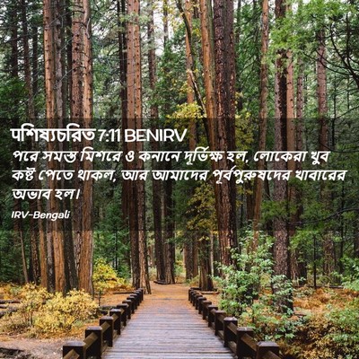Picture 02 - पশিষ্যচরিত 7:11 BENIRV - পরে সমস্ত মিশরে ও - Bible Verse Picture