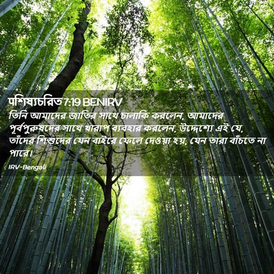 Picture 02 - पশিষ্যচরিত 7:19 BENIRV - তিনি আমাদের জাতির - Bible Verse Picture