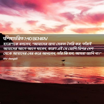 Picture 02 - पশিষ্যচরিত 7:40 BENIRV - হারোণকে বললেন, - Bible Verse Picture