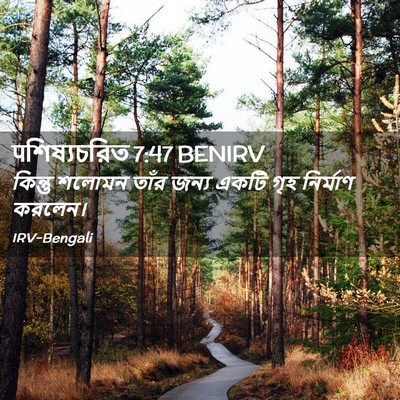 Picture 02 - पশিষ্যচরিত 7:47 BENIRV - কিন্তু শলোমন তাঁর - Bible Verse Picture