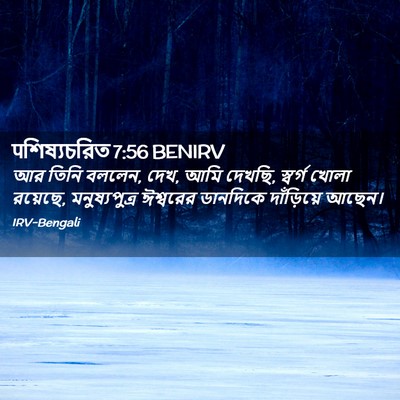 Picture 02 - पশিষ্যচরিত 7:56 BENIRV - আর তিনি বললেন, দেখ, - Bible Verse Picture