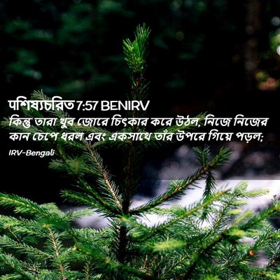 Picture 02 - पশিষ্যচরিত 7:57 BENIRV - কিন্তু তারা খুব - Bible Verse Picture