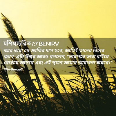 Picture 02 - पশিষ্যচরিত 7:7 BENIRV - আর তারা যে জাতির - Bible Verse Picture