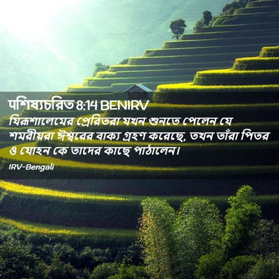 Picture 02 - पশিষ্যচরিত 8:14 BENIRV - যিরূশালেমের - Bible Verse Picture