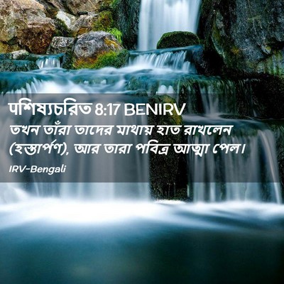 Picture 02 - पশিষ্যচরিত 8:17 BENIRV - তখন তাঁরা তাদের - Bible Verse Picture