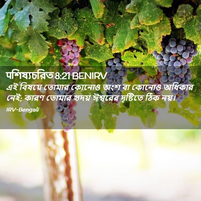 Picture 02 - पশিষ্যচরিত 8:21 BENIRV - এই বিষয়ে তোমার - Bible Verse Picture