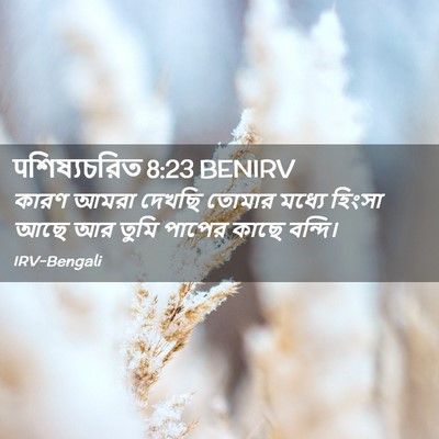 Picture 02 - पশিষ্যচরিত 8:23 BENIRV - কারণ আমরা দেখছি - Bible Verse Picture