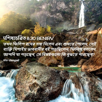 Picture 02 - पশিষ্যচরিত 8:30 BENIRV - তখন ফিলিপ রথের - Bible Verse Picture