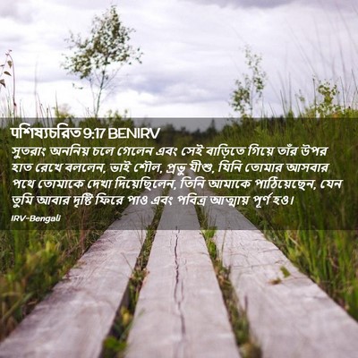 Picture 02 - पশিষ্যচরিত 9:17 BENIRV - সুতরাং অননিয় চলে - Bible Verse Picture