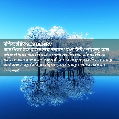 Picture 02 - पশিষ্যচরিত 9:39 BENIRV - আর পিতর উঠে তাদের - Bible Verse Picture