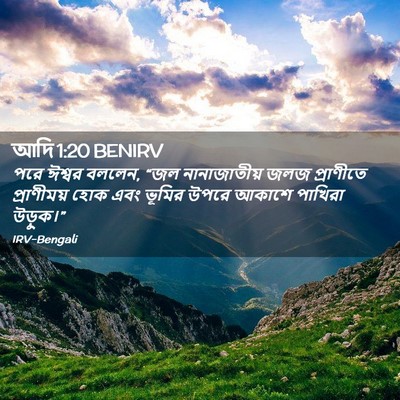 Picture 02 - আদি 1:20 BENIRV - পরে ঈশ্বর বললেন, - Bible Verse Picture