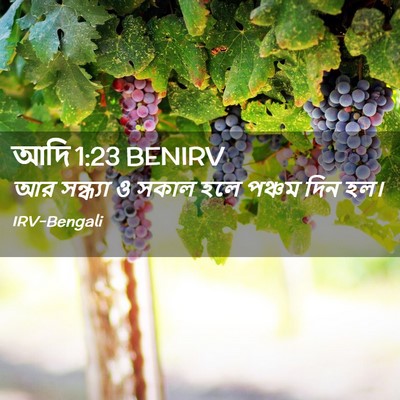 Picture 02 - আদি 1:23 BENIRV - আর সন্ধ্যা ও সকাল - Bible Verse Picture